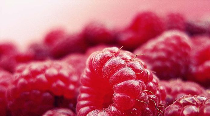 12 Classic Pilates Moves