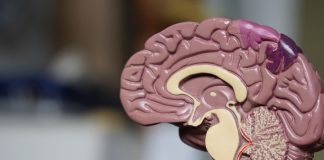 xét nghiệm cần làm định kỳ khi dùng hormone