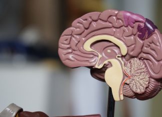 xét nghiệm cần làm định kỳ khi dùng hormone