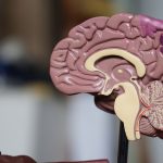 Xét nghiệm định kỳ khi dùng hormone chuyển giới: Hướng dẫn toàn diện Bác sĩ tư vấn về liệu pháp hormone chuyển giới