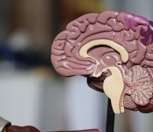 Xét nghiệm định kỳ khi dùng hormone chuyển giới: Hướng dẫn toàn diện Bác sĩ tư vấn về liệu pháp hormone chuyển giới