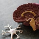 Chăm sóc hậu phẫu chuyển giới: Hướng dẫn toàn diện cho người bệnh và người nhà Chăm sóc bệnh nhân hậu phẫu tại bệnh viện