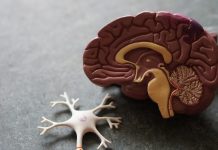 Chăm sóc hậu phẫu chuyển giới: Hướng dẫn toàn diện cho người bệnh và người nhà Chăm sóc bệnh nhân hậu phẫu tại bệnh viện